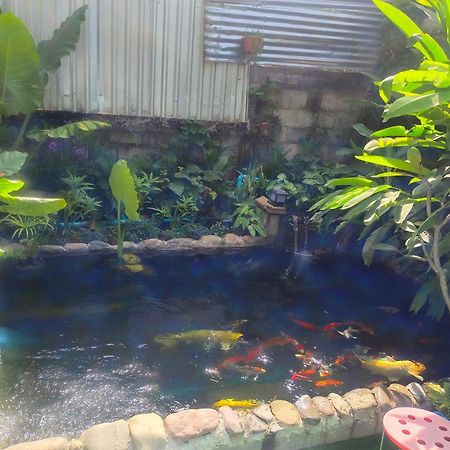 Vang Vieng Champa Hotel Luaran gambar