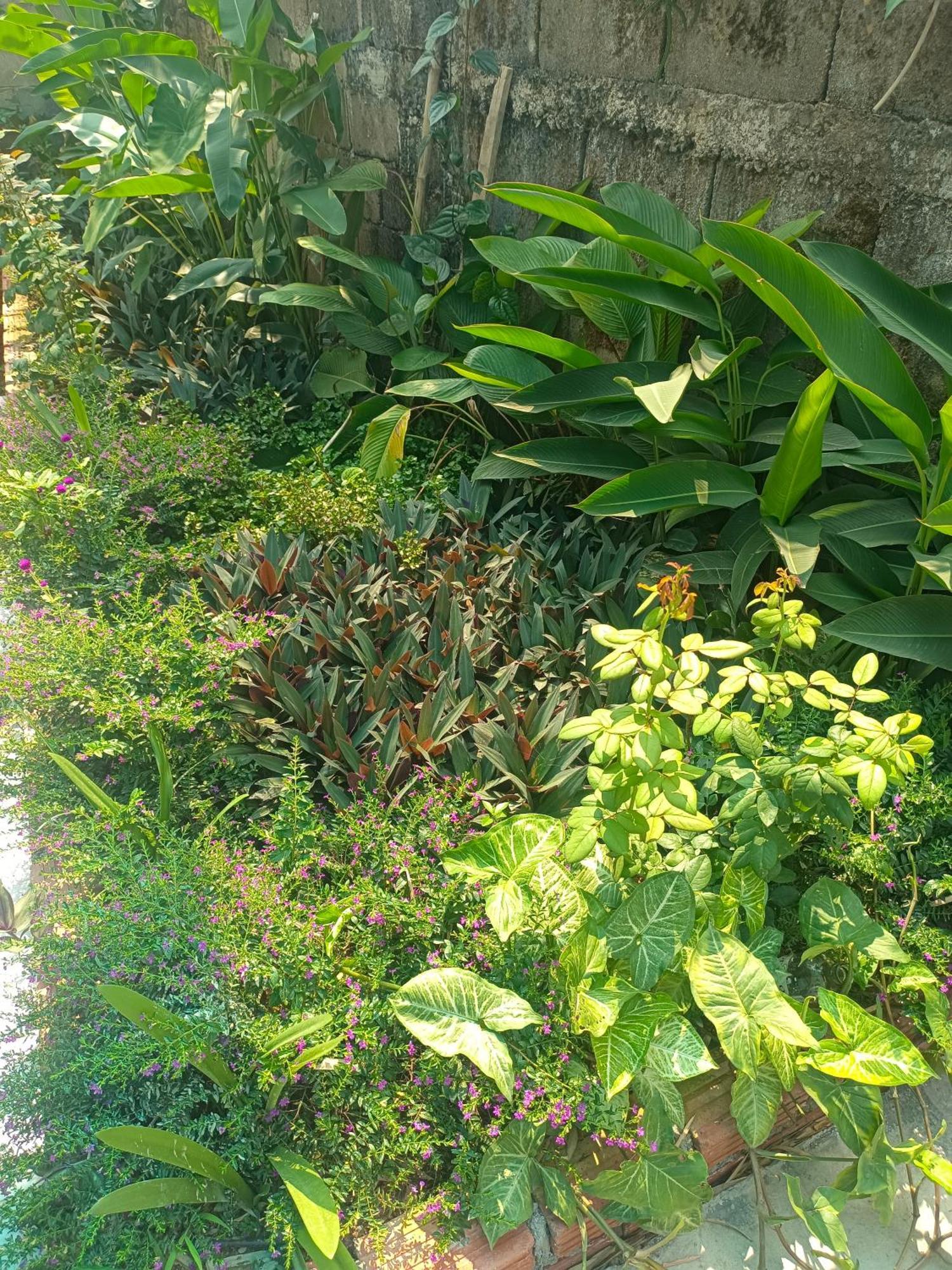 Vang Vieng Champa Hotel Luaran gambar